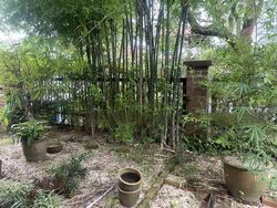 Henry Park (D10), Detached #498599051